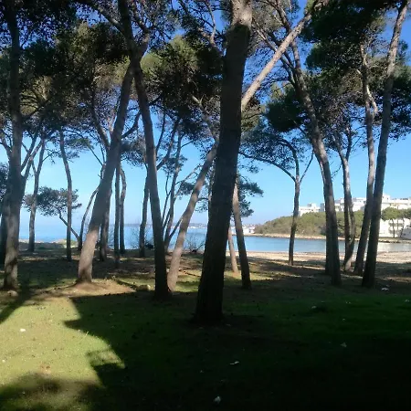 Apartmán Frontemare Davide