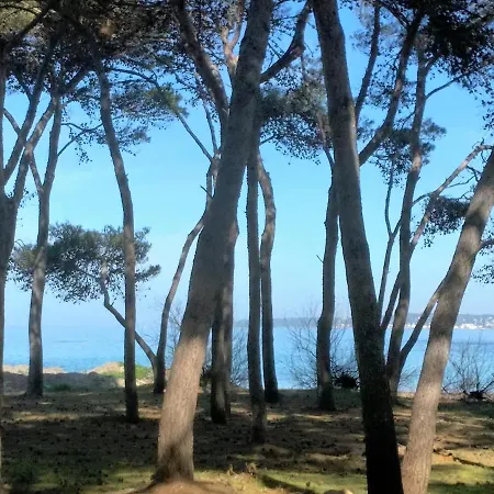 Frontemare Davide Apartment *