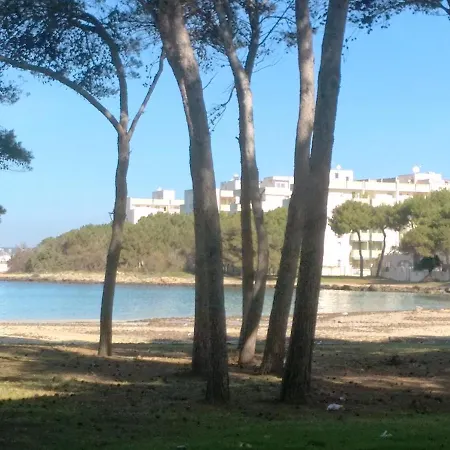 Apartment Frontemare Davide *